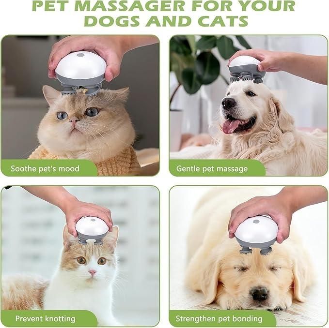 Electric Massager for Head and Scalp